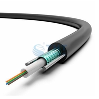 Cable de Fibra Óptica Monomodo Aéreo GYXTW para Exteriores, 24 Núcleos, G.652D, con Cubierta de PE, Garantía de 10 Años, 3 km/rollo