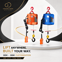 Mini-treuil électrique à câble PA et mini-treuil électrique à chaîne Lift King Hoists