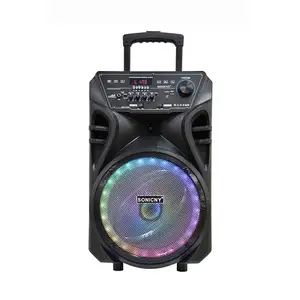 12 "Active USB SD Trolly Lautsprecher Karaoke Metall grill mit Disco Light bedeckt Leistungs starke Party Blue Ev Sx300