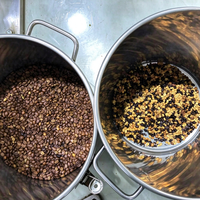 Machine de tri des grains de café pour les torréfacteurs, élimine les grains défectueux, les coquilles creuses et les grains brisés