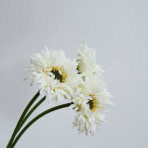 Paket 3 yapay ipek papatya üreticileri toptan INS popüler tarzı ev dekorasyon afrika krizantem - Product Image 4