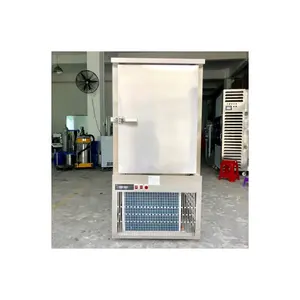 Mini máquina de congelación rápida criogénica IQF a la venta