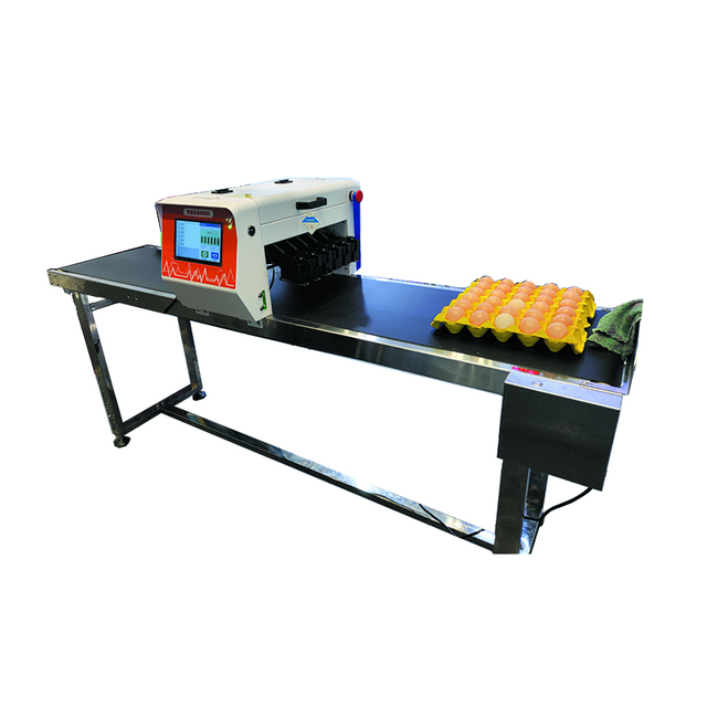 Egg Inkjet Printers Printing Egg Coding Machine on Duck and Chicken Eggs Machine Manufacturer
