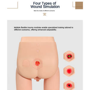 DARHMMY Nouveau modèle de formation au cathétérisme interchangeable unisexe avancé pour l'enseignement médical - Product Image 2