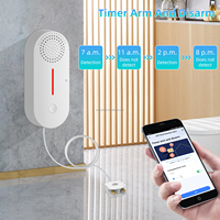 Détecteur de fuite d'eau WiFi compatible Tuya, compatible Alexa/Google Home, pour maison intelligente, fonctionne sur piles, certifié CE, alarme de fuite d'eau