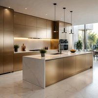 Armoires de cuisine en acier inoxydable de luxe sur mesure |   Ensemble d'armoires modulaires en acier inoxydable 304 SUS |   Design européen moderne |   Marbre |   Évier inclus |