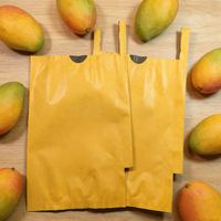 Sacs en papier kraft écologiques pour mangues, sacs de protection imperméables pour fruits, protection contre les insectes, les oiseaux et les dommages du soleil