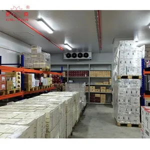 Professional Supplier fruits ca industrial cold room for fruit and vegetable cold ripening room for banana