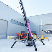 Grue araignée diesel électrique Tonlita personnalisée CE EPA EURO 5 haute performance pour la construction