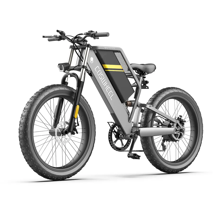 Cosweel T24 15 Ah 48V напряжение 500 Вт мощность передний и задний тормоз 150 кг максимальная нагрузка Электрический велосипед Hydrid