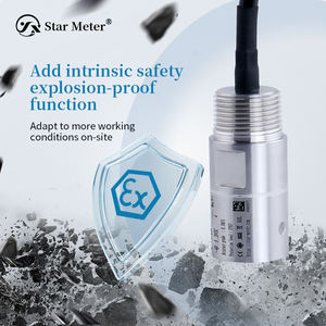 Sensore di Pressione Tipo Spirale CYYZ38D, Trasmettitore Compatto per Pressione di Terra e Fanghi, Certificazione SIL, OEM/ODM - Product Image 4