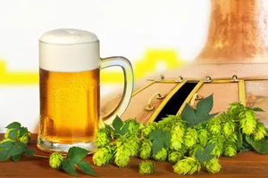 Yüksek Kaliteli HACCP Sertifikalı Gıda Sınıfı Şerbetçiotu Suyu Konsantresi Bira Yapımı İçin Sıvı Aroma Ekstraktı 12 Ay Raf Ömrü OEM - Product Image 5