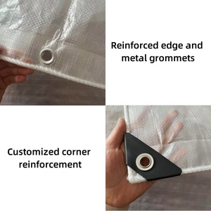 Film de serre en PEHD tissé transparent et imperméable de 120 g/m² en plastique renforcé pour vergers, avec service de dé<span class=keywords><strong>coupe</strong></span> - Product Image 4