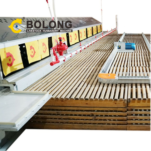 Hệ thống lồng gà bolong Máy thu trứng tự động thiết bị nuôi gà tự động - Product Image 6