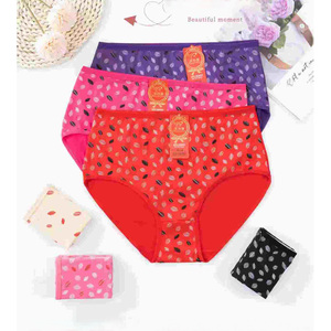 Tốt Nhất Bán Phụ Nữ Sexy Thoải Mái Thoáng Khí Quần Lót Liền Mạch Của Phụ Nữ Đồ Lót Với In Mô Hình Dệt Kim Mặc Bikini Dệt - Product Image 4