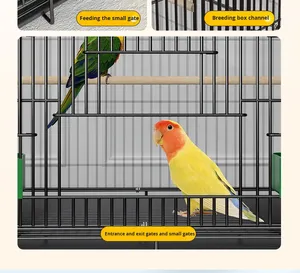 סיטונאי כלובי ציפורים גדולים חוט מתקפל בתי תוכי בתי גידול כפול שכבה - Product Image 4