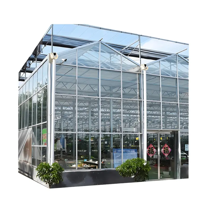 Tempered Glass Greenhouse for Cucumbers