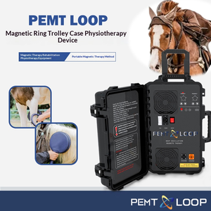 Máquina Ortopédica Ajustable PEMF Sokingbeauty para Gatos - Equipo Veterinario Portátil para el Alivio del Dolor y Cuidado Animal - Product Image 3