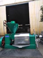 Presse à huile commerciale 300 kg/h pour arachides, soja, amandes, extraction d'huile de graines, machine à presser l'huile