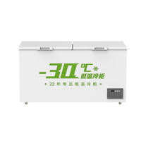 Direct usine 304 SS Économie d'énergie 408L -30 ℃   Congélateur horizontal commercial et domestique à évaporateur en cuivre avec dégivrage automatique