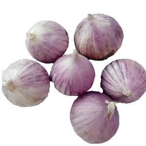 <span class=keywords><strong>Ail</strong></span> blanc biologique séché et <span class=keywords><strong>l</strong></span>égumes frais vendus en gros depuis le Shandong, Chine, pour <span class=keywords><strong>l</strong></span>'exportation en emballage en vrac - Product Image 3