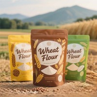 250g 500g 1kg personnalisé imprimé réutilisable fermeture à glissière protéine alimentaire en poudre farine debout pochette d'emballage à fond plat avec logo