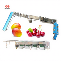 Mango sorteer-, reinigings- en verpakkingsmachine, fruit- en groentewas-, sorteer-, graad- en verpakkingslijn, roestvrijstalen motor