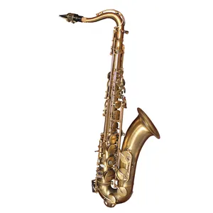 Pro Gebruik Tenor Antiek Brons Kleur Saxofoon Met Italiaanse Lp Pads