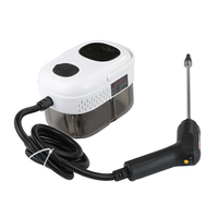 Nettoyeur vapeur électrique haute pression pour le nettoyage extérieur des voitures, des foyers et des hôtels, outil de nettoyage polyvalent pour la cuisine
