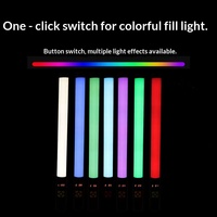 Lampe de poche RGB avec batterie pour la prise de vue vidéo, bâton lumineux pour Tiktok, Youtube, studio photo