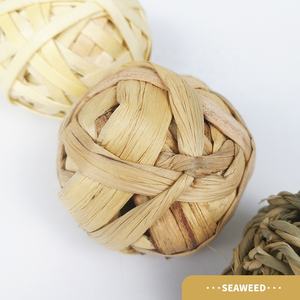 Küçük hayvan aktivite oyuncak evcil hayvan oyun çiğnemek oyuncaklar tavşan tavşanlar gine domuz - Product Image 3