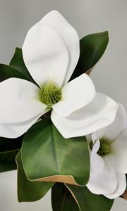 Nuevas Plantas Artificiales de EVA con Tacto Real, Flores de Magnolia para Interiores, Hogar, Oficina, Bodas, Arreglos Florales Artificiales para Pared - Product Image 2