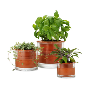 Kit de jardinière de <span class=keywords><strong>Pot</strong></span> humide auto-arrosant de ferme décors d'intérieur extérieurs uniques pour l'utilisation de <span class=keywords><strong>Pot</strong></span> de fleur suspendu de plancher de jardin de pépinière - Product Image 1