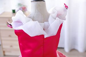 Costume de princesse <span class=keywords><strong>Aurore</strong></span>, <span class=keywords><strong>robe</strong></span> de princesse pour enfants, déguisement de conte de fées, film télévisé, cosplay, fête d'anniversaire, Noël, Halloween - Product Image 4