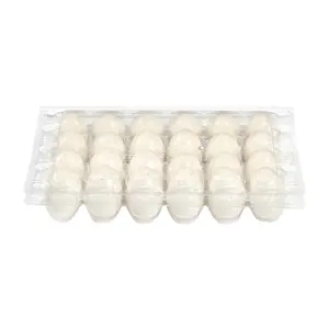 12 Eco-Friendly Rectangle PET Plastic Egg Cartons Clear Shockproof Blister Process Supplier Packaging Tray