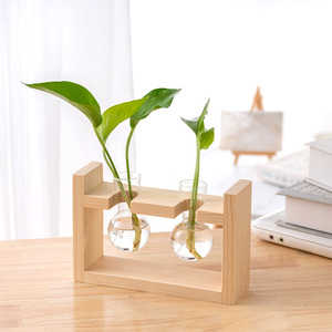 Jarrones de Vidrio Creativos con Marco de Madera al por Mayor, Jarrones Modernos y Sencillos para Decoración de Sala de Estar, Jarrón para Plantas Verdes - Product Image 3