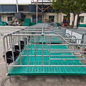 <strong>Turnkey</strong> Solution Sealed Construction Efficient Farming Manure Board Livestock Manure Leakage Board <strong>Pig</strong> <strong>Farm</strong> Manure Management - Product Image 3