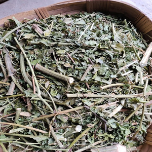 100% Pure Naturals Passiflora Incarnata Herb Extract Wild <b>Powder</b> Various Bottle Drum Vacuum Plastic Container Manufacturer - Product Image 2