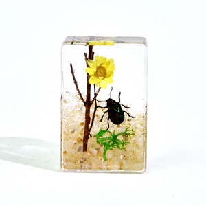 Sáng Tạo Nghệ Thuật Nhựa Thủ Công Mỹ Nghệ Bất Côn Trùng Mẫu Paperweight Động Vật Khác Nhau Mô hình Bảo Quản Trong Nhựa Bộ Sưu Tập Đồ Chơi - Product Image 4