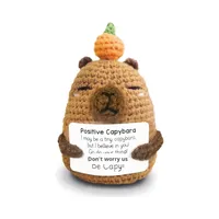Yuhongtoys Super doux Crochet Capybara ours mignon série de guérison soulagement du Stress tricot lavé fil en peluche transfrontalier positif