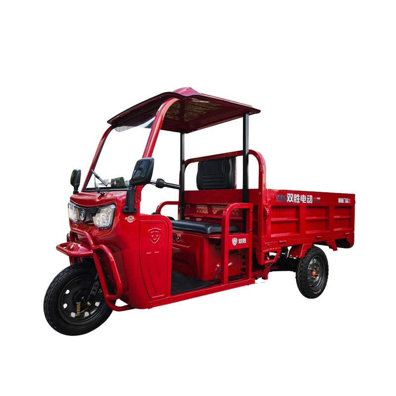 Sunsen Heavy Duty Electric Tricycle 1