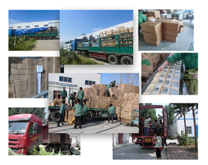 Alat Bantu Mengajar Model Biologis Medis Respirasi Buatan Pediatrik Model Pelatihan Pertolongan Pertama Model Pengajaran Dummy - Product Image 5