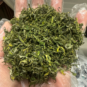 Té verde de alta calidad Mingqian <span class=keywords><strong>Laoshan</strong></span>, té verde de Qingdao, China, producción de Año Nuevo de té verde saludable a granel - Product Image 1