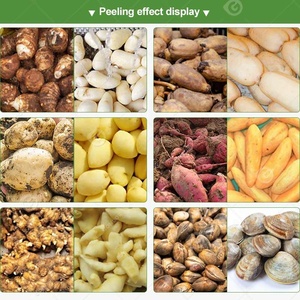 Автоматическая машина для чистки картофеля, моечная машина для кассавы и яблок, оборудование для мытья фруктов и овощей, Нигерия - Product Image 3