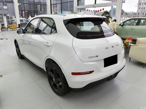 Euler Cat 2025 modelo clásico EV SUV 401km batería de litio coche eléctrico con caja de cambios automática y motor EV Vehículo de nueva energía - Product Image 3