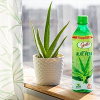 Saveurs tropicales Boisson à l'aloe vera Jus à pulpe Mangue Ananas Noix de coco Jus normal