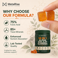 Gummies de Shilajit 10-en-1 en gros avec Ashwagandha et Mousse de Mer, favorisent l'énergie, la concentration et la vitalité, complément bien-être quotidien