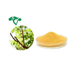 100% ナチュラルオーガニックホットセールホワイトウィローバークエキスサリシン - Product Image 1