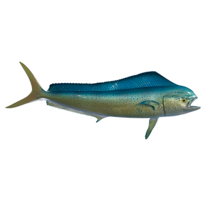 Крепления для рыбы, корова, дельфин, Mahi Dorado, домашнее искусство, настенные панели, декоративные морепродукты, декор для ресторана