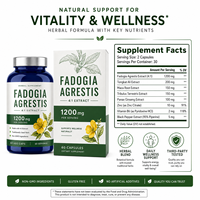Qualité Export Fadogia Agrestis Complex 60 Capsules Végétaliennes pour les Marchés Américains et Européens Étiquette Nettoyée Performance Bien-être Prix de Gros